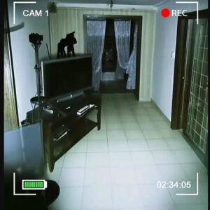 Las cosas en mi casa empezaron a moverse Las cosas en mi casa empezaron a moverse