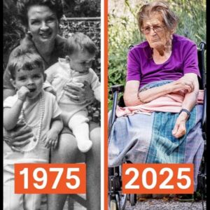 El hijo vendió la casa y dejó a la madre en un asilo de ancianos, pero el nuevo propietario luego devolvió la llave. El hijo vendió la casa y dejó a la madre en un asilo de ancianos, pero el nuevo propietario luego devolvió la llave.